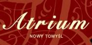 logo firmy